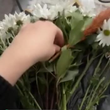 Çiçek Sepeti Özensiz Paketleme Beğenmedim!