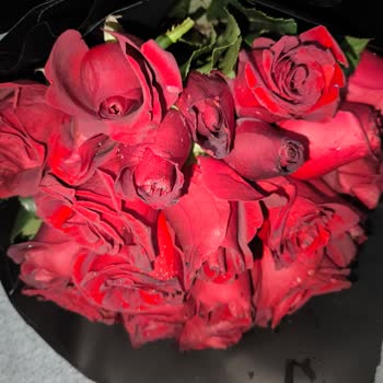 Simsiyah Ve Lekeli Çiçekler İçin Ücret İadesi Ve Özür Talebi