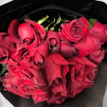 Simsiyah Ve Lekeli Çiçekler İçin Ücret İadesi Ve Özür Talebi