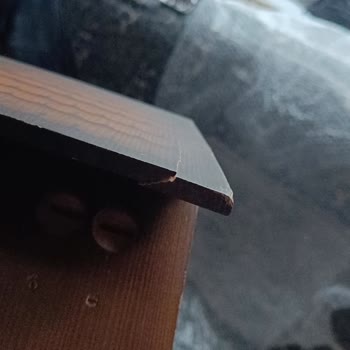 Yurtiçi Kargo Antika Saat Hasarı Ve Tazmin İhmali!