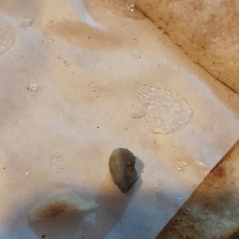 Şok Market Dondurulmuş Lahmacun İçinde Taş Bulunması Güven Sorunu