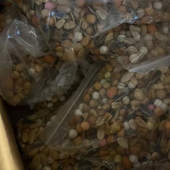 Emirhan Kuruyemiş Sahte Reklam Ve 3000 TL İade Talebi