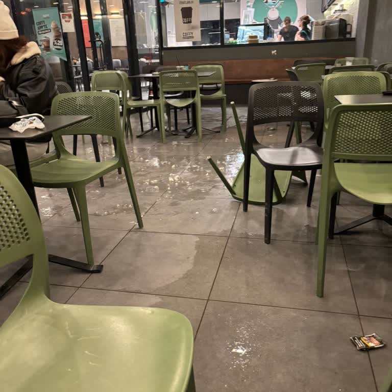 Hijyen Eksikliği Ve Köpeklerin Güvensizliği Nedeniyle Aileleri Tehdit Eden Büyük Kavga