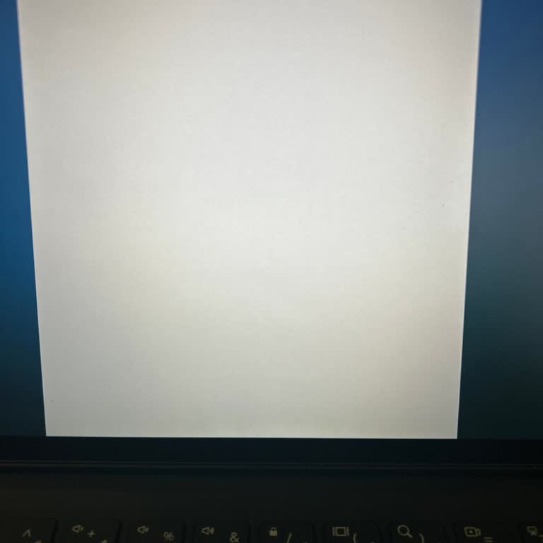 Yenibiris Tablet Uygulamasında Özgeçmiş Düzenleme Sayfası Boş