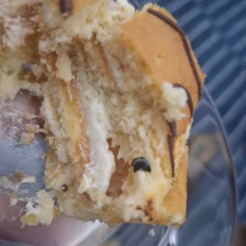 Migros'tan Aldığım Ülker Dankek Muzlu Rulo Pastada Plastik Parça Ve Canlı Böcek