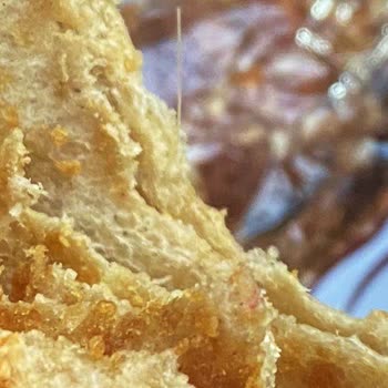 Bebek Çörekte Plastik Parça Bulunması Ve Şirketin Cevapsız Tutumu