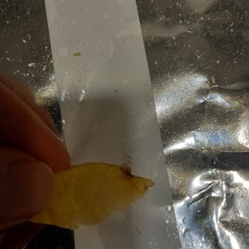 Lays Cipsinde Yabancı Madde Ve Yanlış Üretim Tarihi