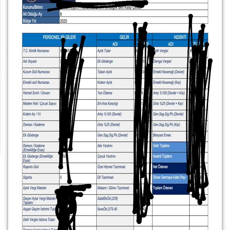 Viennalife Emeklilik Ve Hayat Vaat Edilen 24 Bin Tl Vergi İadesi Ödenmedi