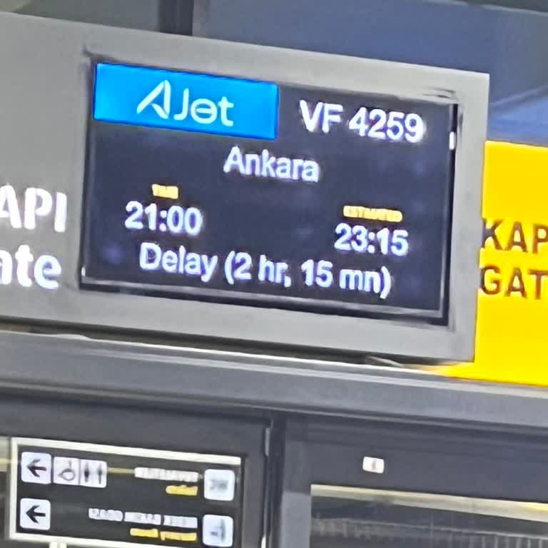 Ajet Ordu Ankara Uçuşunda Çifte Gecikme ve Planlama Sorunları
