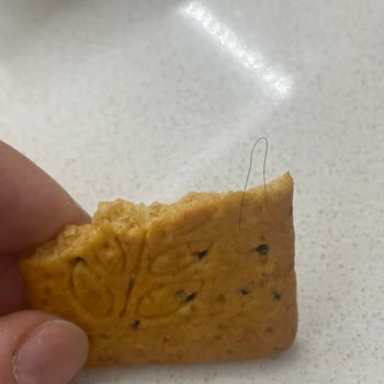 Eti Gıda Çörekotlu Tuzlu Bisküviden Kıl Çıktı: Hijyen İhlali Ve Özür Talebi