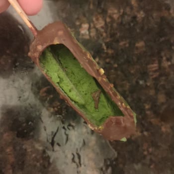 Şok Marketler Hem Param Boşa Gitti Hem De İstediğim Gibi Dondurmamı Yiyemedim