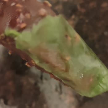 Şok Marketler Hem Param Boşa Gitti Hem De İstediğim Gibi Dondurmamı Yiyemedim