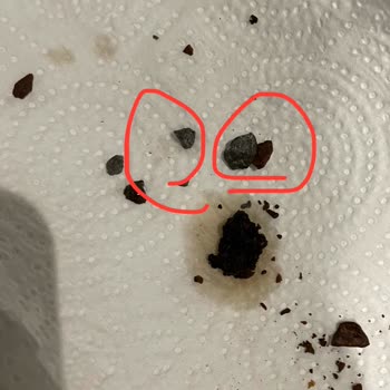 Taft Coffee'den Gelen Kahve Çekirdeğinde Taş Bulunması Philips Makineyi Bozdu