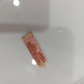 Hasata Pirinçinde Ahşap Palet Parçası Bulundu, Şikayetime Cevap Gelmedi