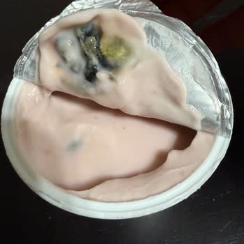 Mövenpick Meyveli Yoğurdunda Bozulmuş Görünüm Ve Gıda Güvenliği Sorunu