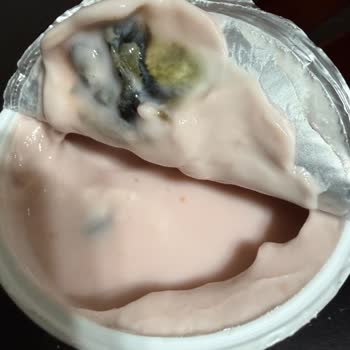 Mövenpick Meyveli Yoğurdunda Bozulmuş Görünüm Ve Gıda Güvenliği Sorunu