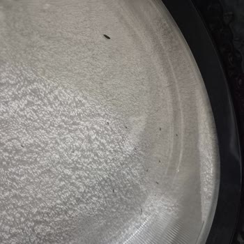 Kurutma Topu Kirpinin Yanması Camda İz Bıraktı Ve Ücret İadesi Talep Ediyorum