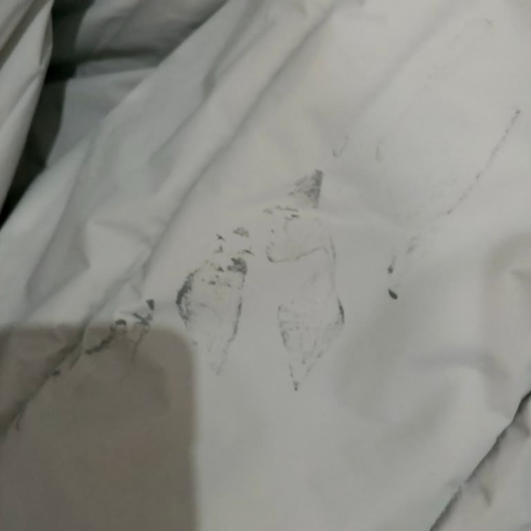 Montta Aniden Görülen Leke Nedeniyle İade Talebi