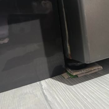 Küflenen Beyaz Eşyalar, Sürekli Servis Ücretleri Ve Çözüm Yokluğu