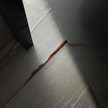 Küflenen Beyaz Eşyalar, Sürekli Servis Ücretleri Ve Çözüm Yokluğu