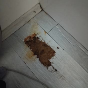 Küflenen Beyaz Eşyalar, Sürekli Servis Ücretleri Ve Çözüm Yokluğu