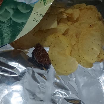 Samba Cipsinde Yabancı Madde Bulundu, Hijyen Ve Kalite Kontrol Şikayeti