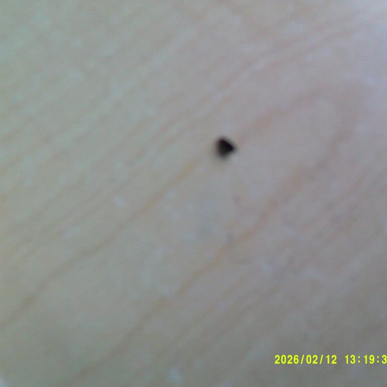 Plastik Parça İçeren Börek Ve Yanıltıcı Fiyatlandırma Şikayetim