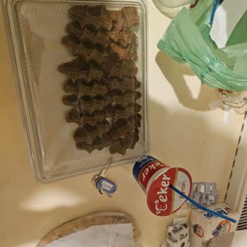 Oses Çiğköfte Bülbülzade Şubesinde Eksik Ürün Ve Saygısız Müşteri Hizmeti