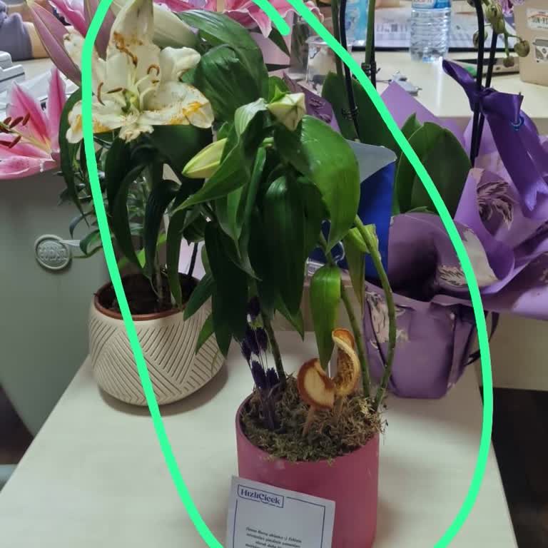 Hızlı Çiçek | Hizlicicek.com Giden Çiçekler Görselle Hiçbir Şekilde Uyuşmuyor