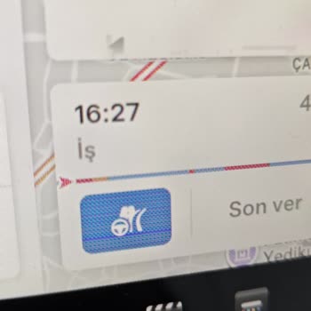 Tesla Model Y Panoramic Roof Cracked Without Impact