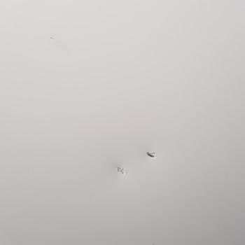 Quick Sigorta Ve RS Servis Mini Onarım Onayı Vermeyerek Müşteriyi 4 Gün Mağdur Etti