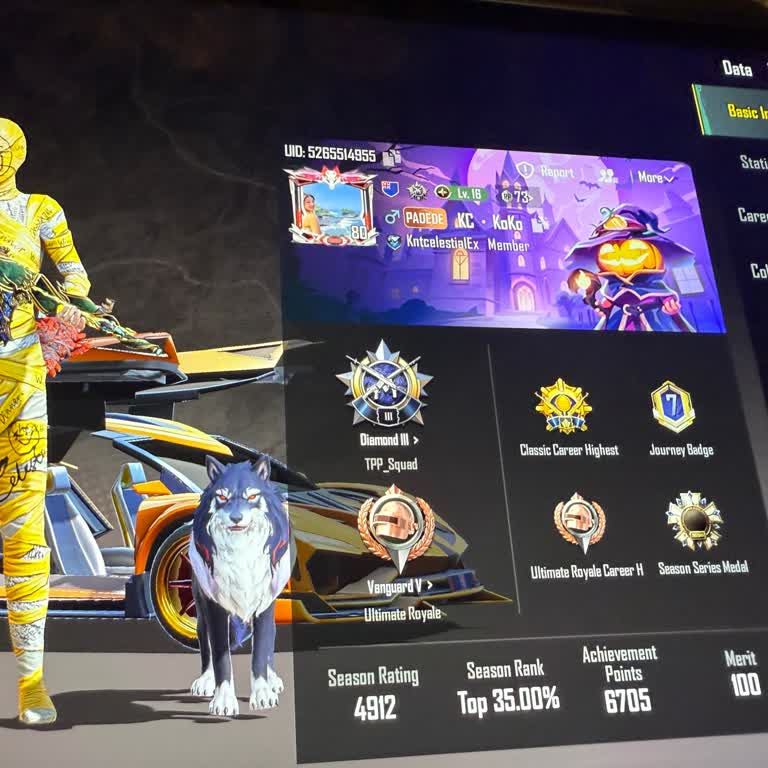 PUBG Mobile Account Recovery Needed After Hack