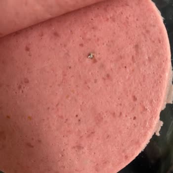 Namet Markalı Hindi Salamında Metal Parçası