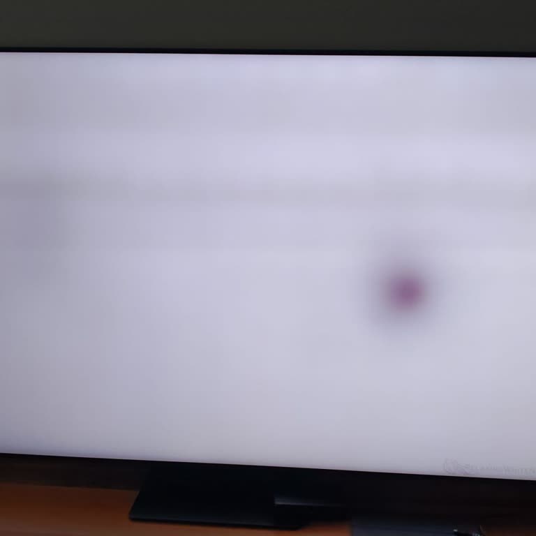 Uzatılmış Garanti Kapsamı Dışında Tekrarlayan Ekran Kararması Ve Panel Değişimi İsteği