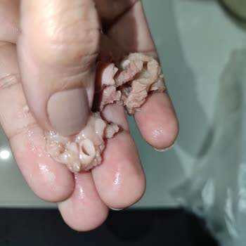 Kuzu Saç Kavurmasında Kemik Parçaları Ve Yağ Fazlası Hijyen İhlali