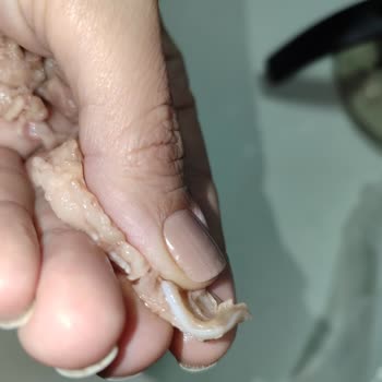 Kuzu Saç Kavurmasında Kemik Parçaları Ve Yağ Fazlası Hijyen İhlali