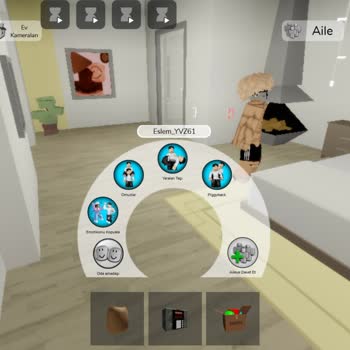 Roblox Brookhaven RP Inappropriate Behavior Complaint