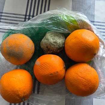 Organik Portakallar Çürük Geldi, Açıklama Ve Kalite Kontrol Talebi