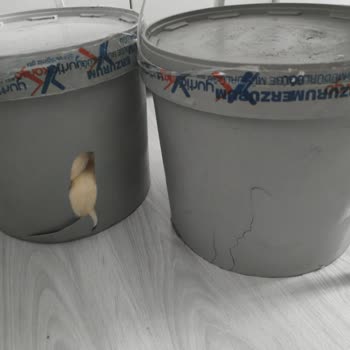 Kargonun Hasarlı Teslimatı ve Çalışan Tutumu Hakkında Şikayet