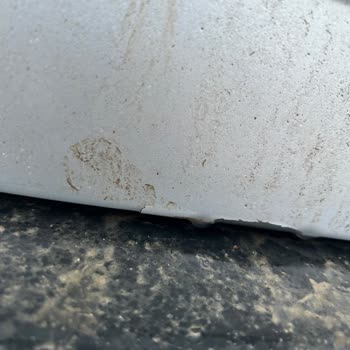 Transit Custom Arka Kapak Boya Dökülmesi Garanti Kapsamında Onarım Talebi