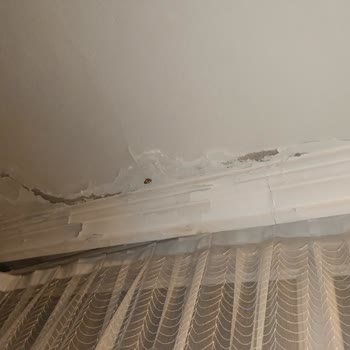 Üst Kat Dairesindeki Sürekli Su Sızıntısı Ve Geniş Hasara Karşı Şikayet