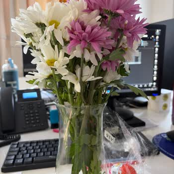 Eksik Çikolata Ve Solgun Çiçekler Hakkında Şikayet