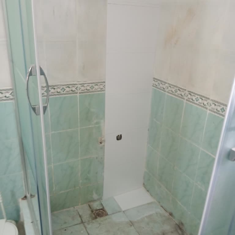 Banyodaki Yeşil Fayansların Uyumlu Olmayan Beyaz Seramikle Değiştirilmesi