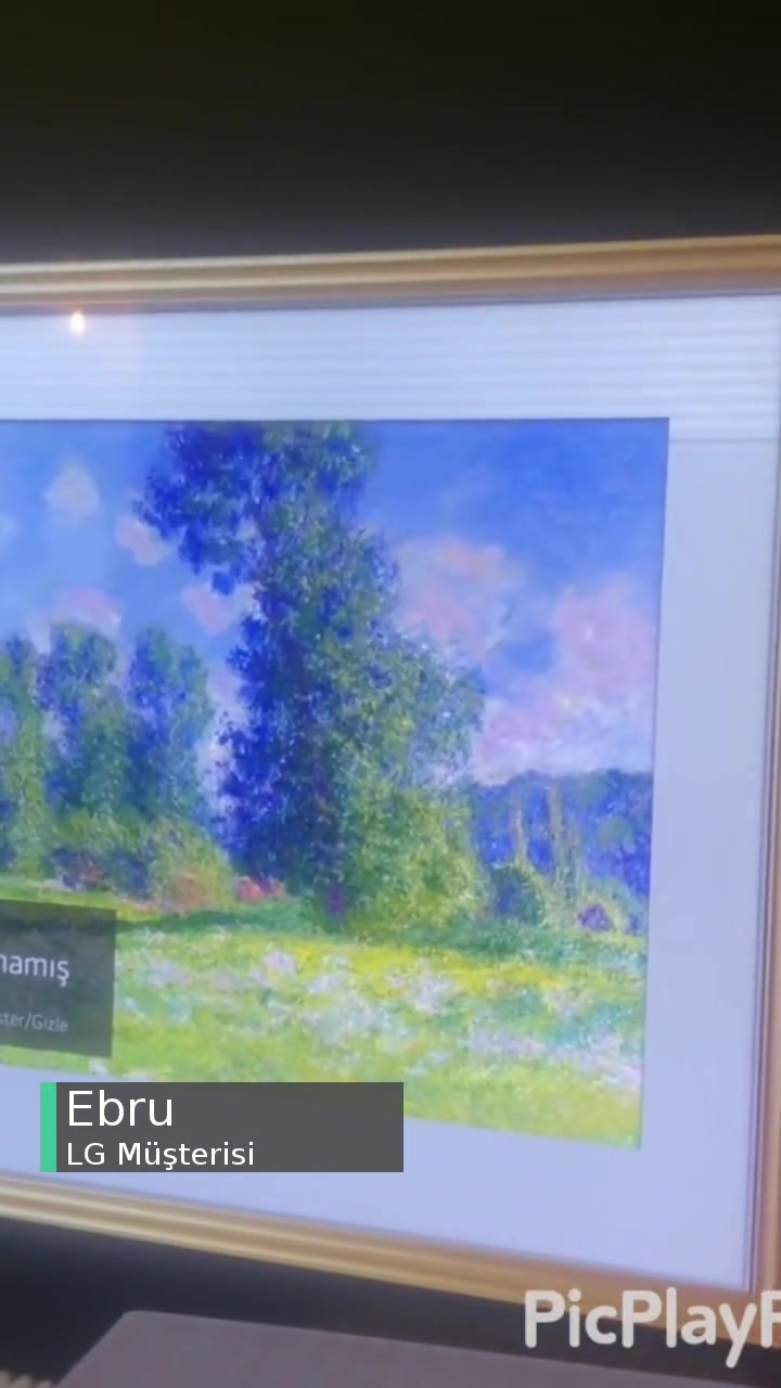 LG OLED55BX6LB Ekran Sorunu! videonun kapak resmi