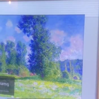 LG OLED55BX6LB Ekran Sorunu!
