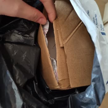 Kargo Paketinin Hasarlı Teslimi ve Detaylı İnceleme Talebi