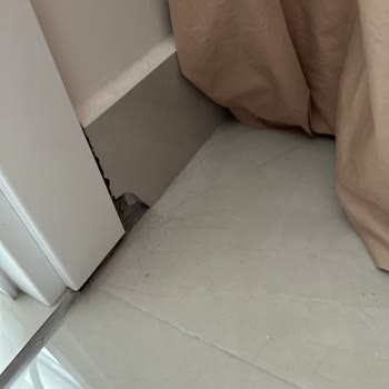 Vigenza Mimarlık İşimizi Yarım Bırakıp Kaçtı!