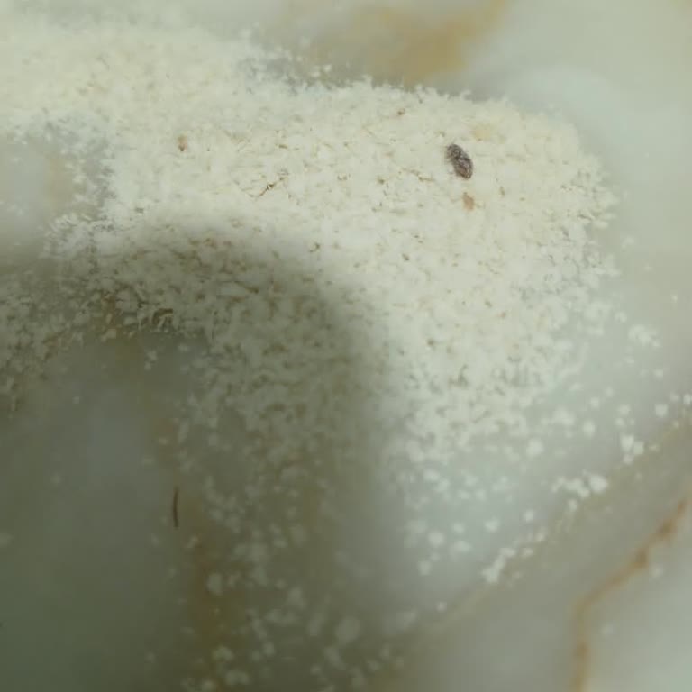 Hero Baby Kaşık Mama İçinde Böcek Çıktı: Hijyen Ve Güven İhlali