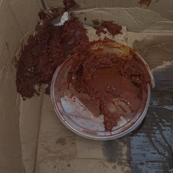 Soğuk Zincir İhlali Ve Cevapsız Müşteri Hizmeti Nedeniyle Ramazan Paketi Şikayeti