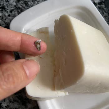 Beyaz Peynirde Metal Parça Bulunması Ve Şube İletişim Sorunu